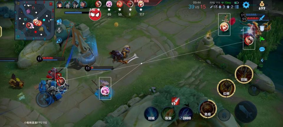 <strong>王者荣耀《不死鸟》辅助</strong>